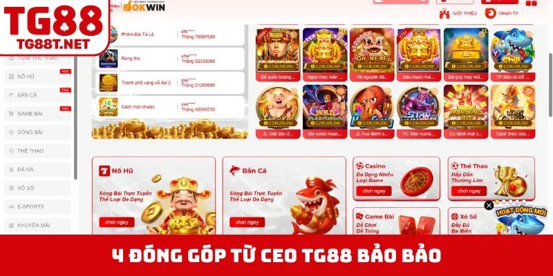 4 đóng góp từ CEO TG88 Bảo Bảo
