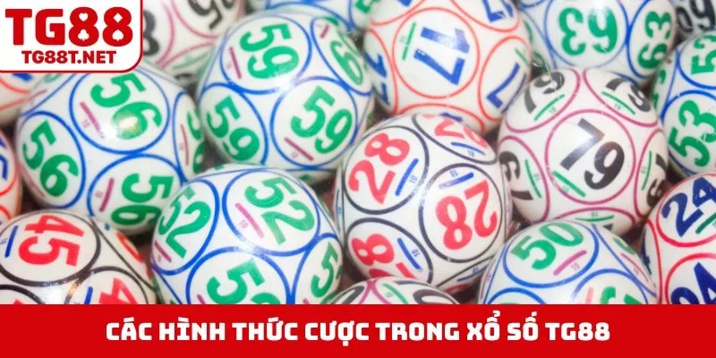 Các hình thức cược trong xổ số TG88