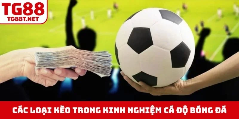 Các loại kèo trong kinh nghiệm cá độ bóng đá