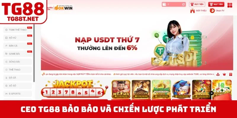 CEO TG88 Bảo Bảo và chiến lược phát triển