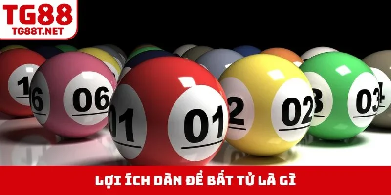 Lợi ích dàn đề bất tử là gì?