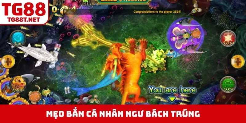 Mẹo bắn cá Nhân Ngư bách trúng