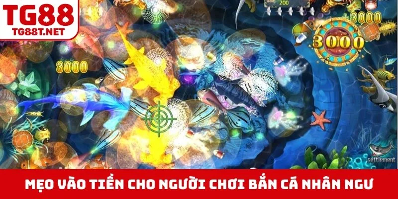 Mẹo vào tiền cho người chơi bắn cá Nhân Ngư