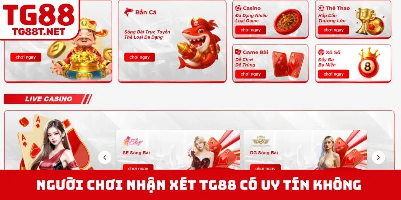 Người chơi nhận xét TG88 có uy tín không