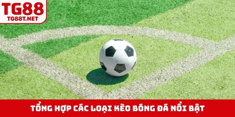 Tổng hợp các loại kèo bóng đá nổi bật
