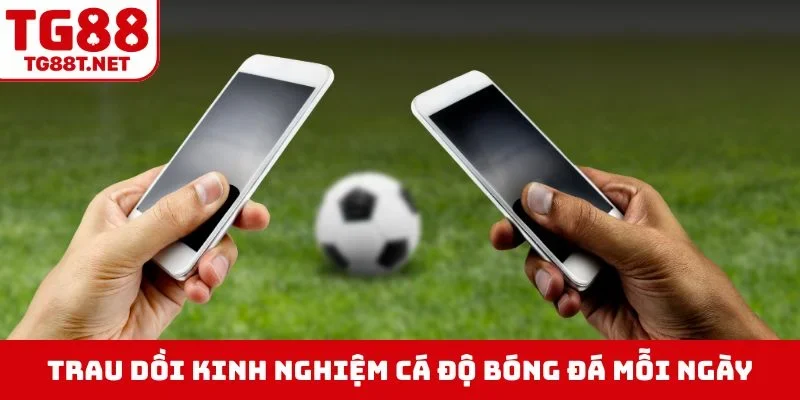 Trau dồi kinh nghiệm cá độ bóng đá mỗi ngày